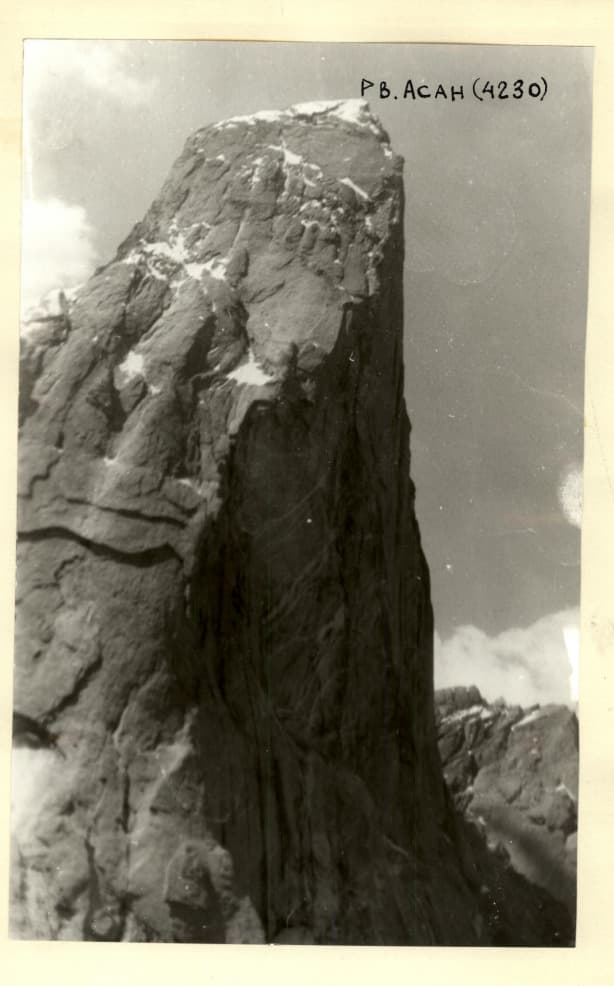 2_image_1.jpg