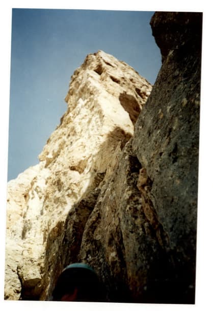 8_image_1.jpg