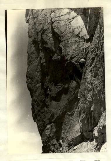 3_image_1.jpg