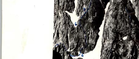 1_image_0.jpg