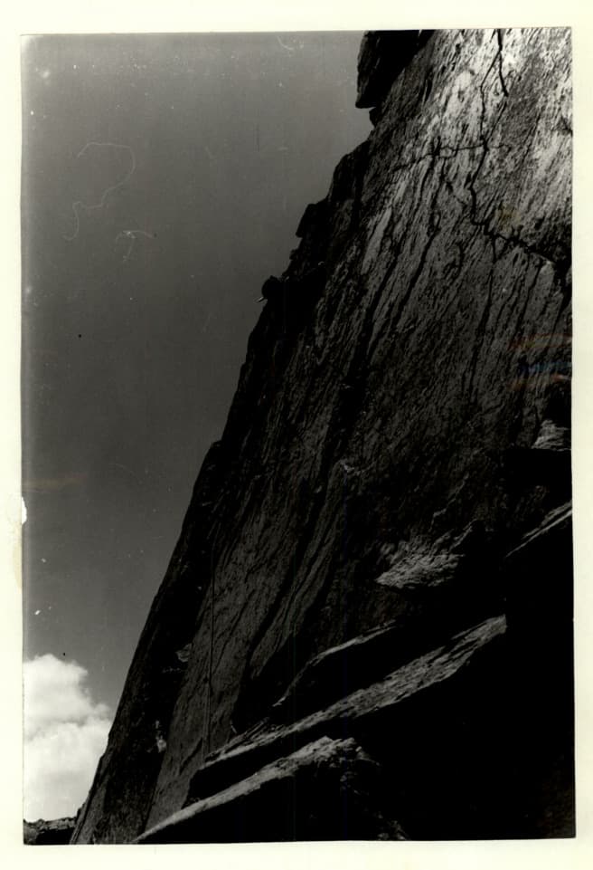 6_image_1.jpg