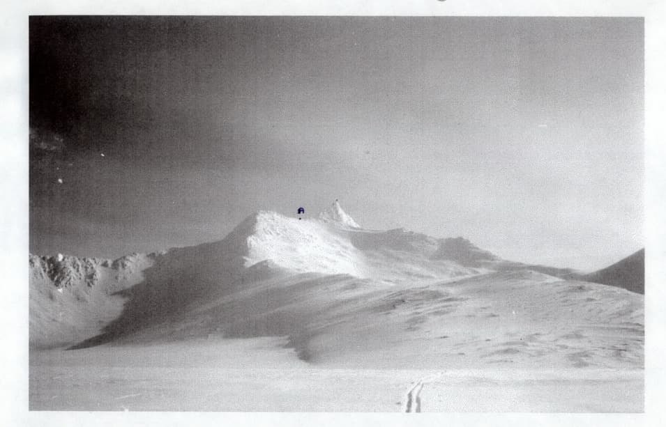 5_image_1.jpg