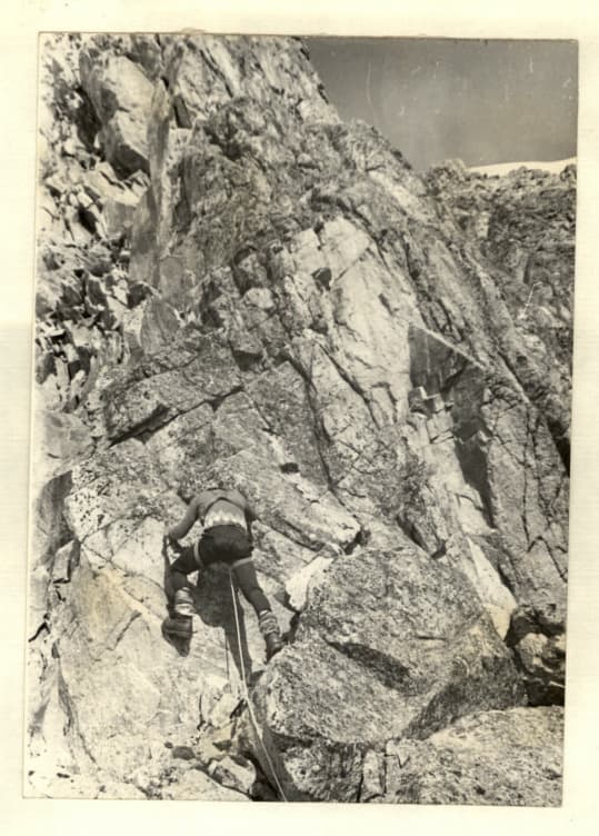 7_image_1.jpg