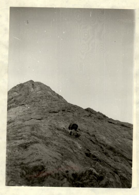 12_image_1.jpg