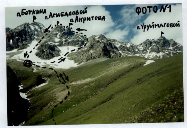 3_image_1.jpg