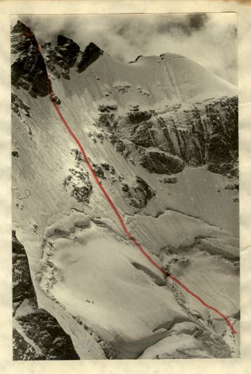 7_image_0.jpg