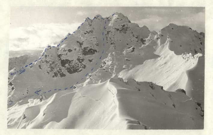 1_image_1.jpg