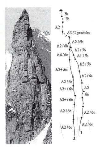 1_image_1.jpg