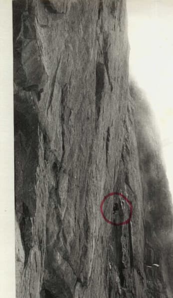 2_image_1.jpg
