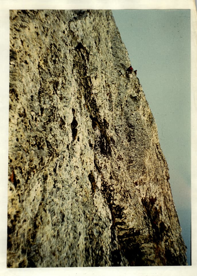 12_image_1.jpg