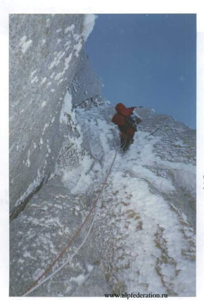 24_image_2.jpg