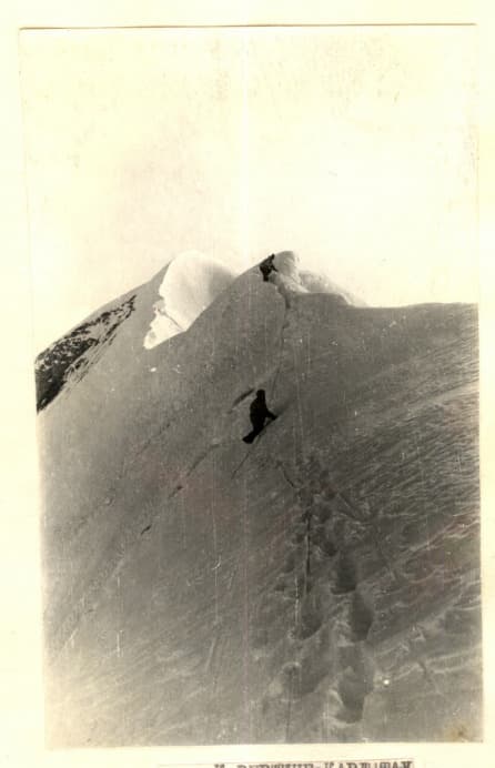 7_image_1.jpg