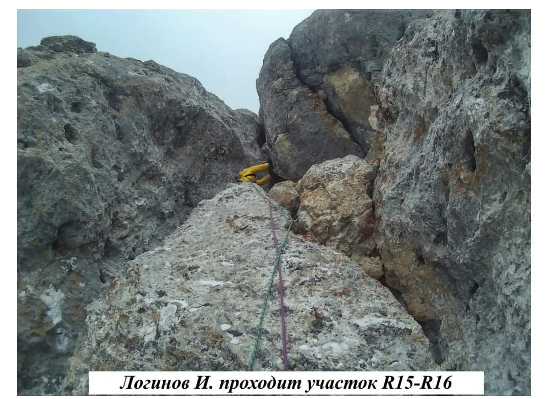 23_image_0.jpg