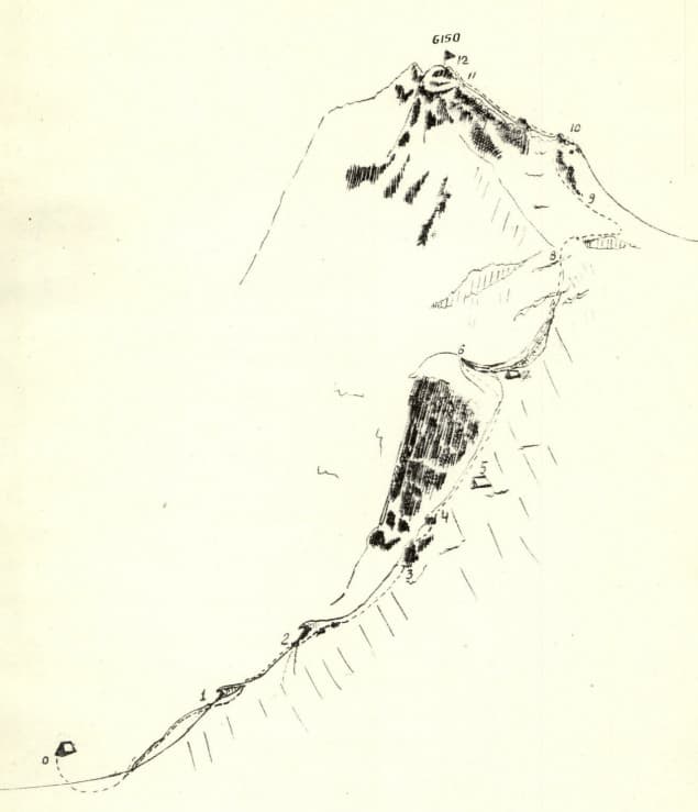 8_image_0.jpg
