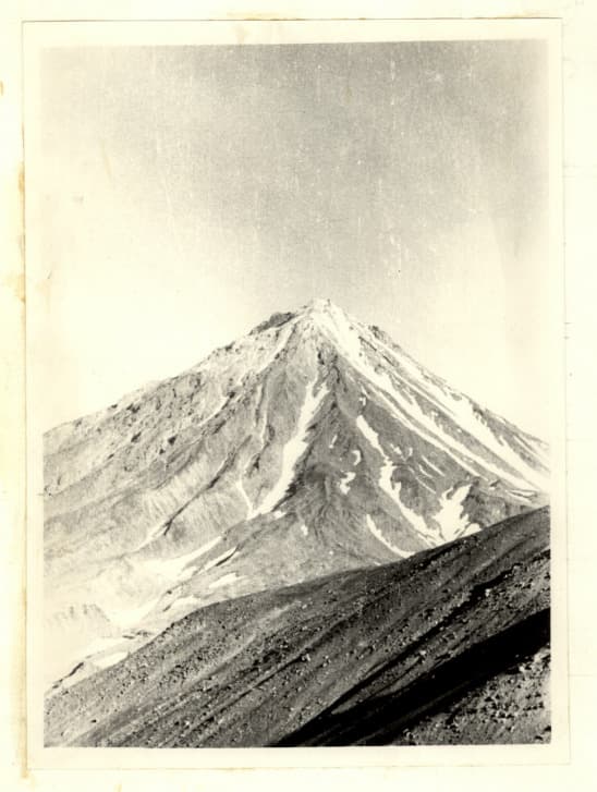7_image_1.jpg