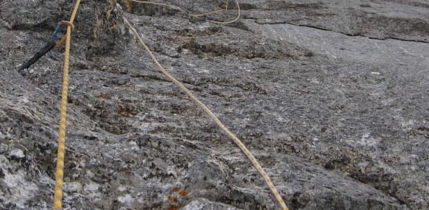15_image_2.jpg