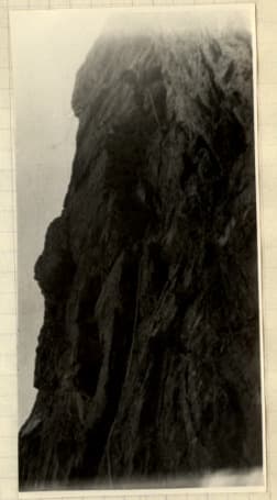 7_image_1.jpg