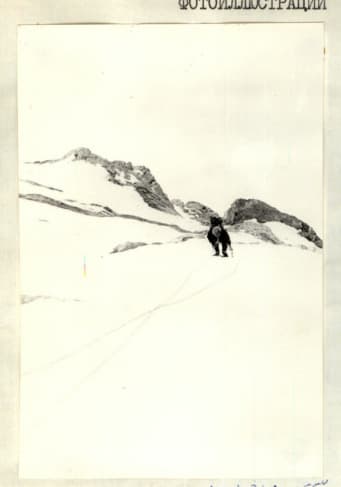 15_image_1.jpg
