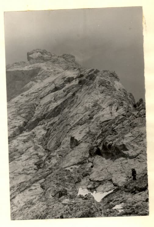 14_image_0.jpg