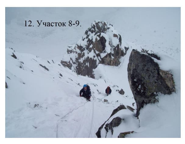 8_image_1.jpg