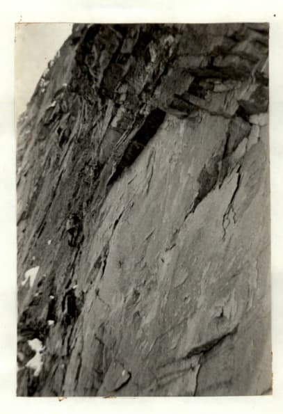 9_image_1.jpg