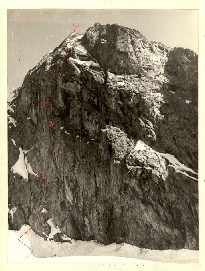 1_image_1.jpg