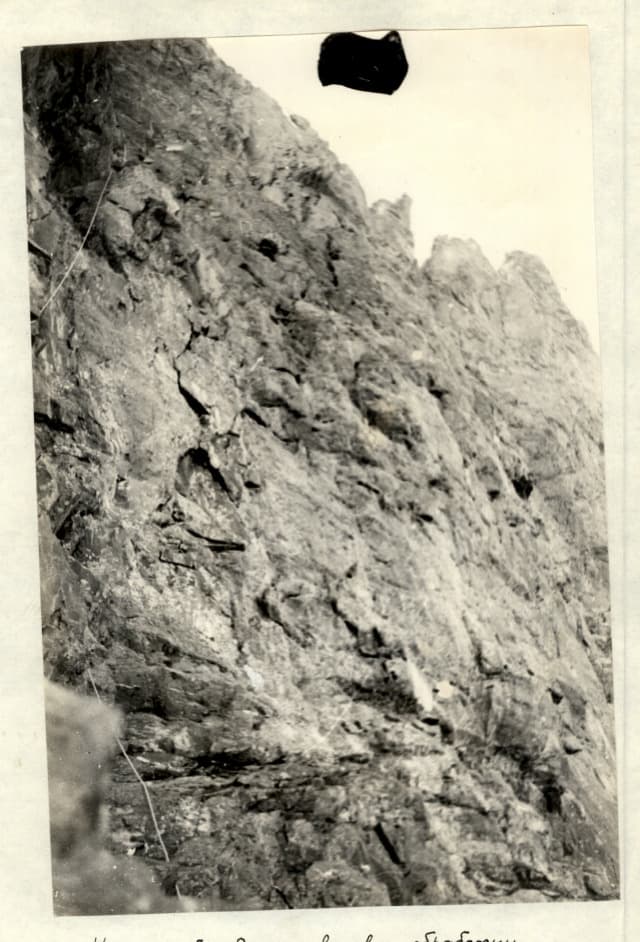 12_image_1.jpg