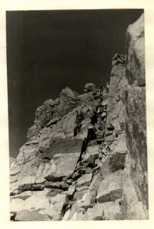 1_image_0.jpg