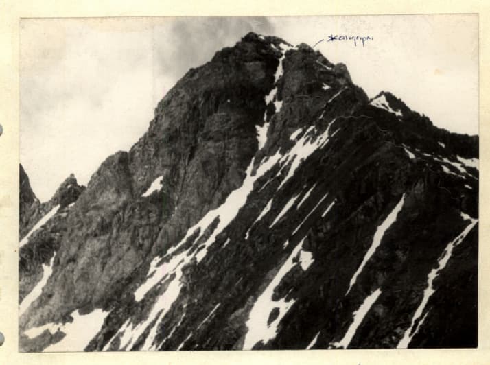 3_image_1.jpg