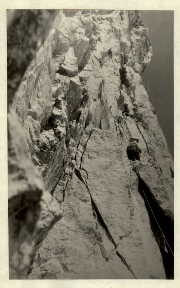 6_image_1.jpg