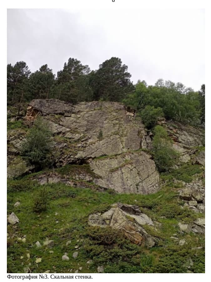 7_image_0.jpg