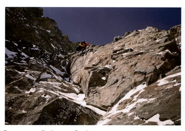 17_image_1.jpg
