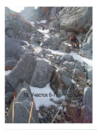 7_image_0.jpg