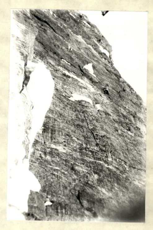 16_image_1.jpg