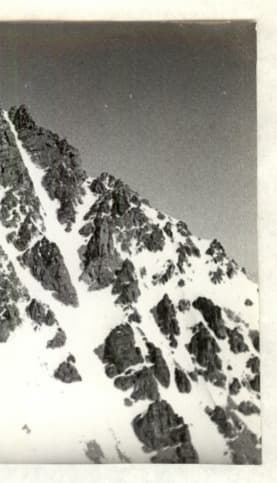 6_image_1.jpg