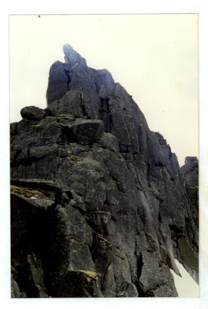 6_image_2.jpg