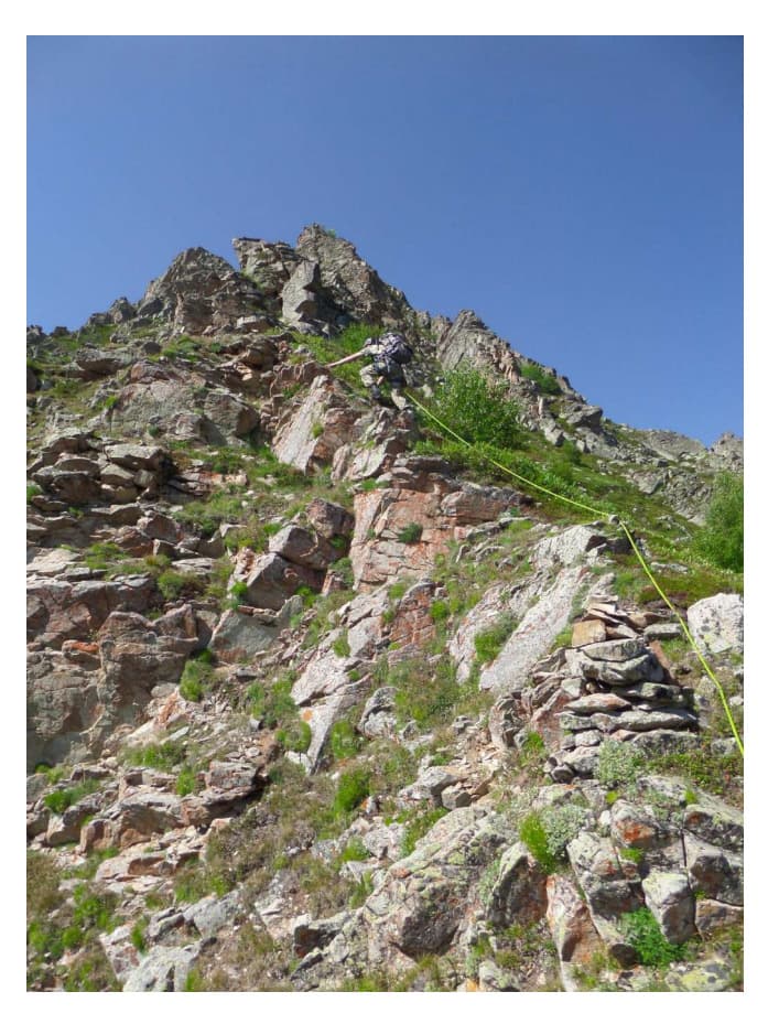7_image_0.jpg