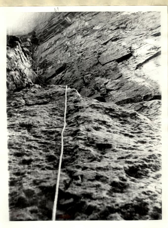 17_image_1.jpg