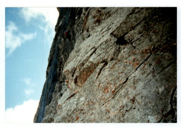7_image_1.jpg