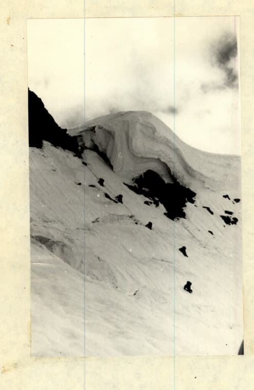 8_image_1.jpg