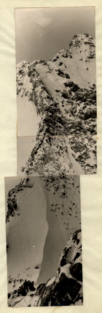 22_image_0.jpg
