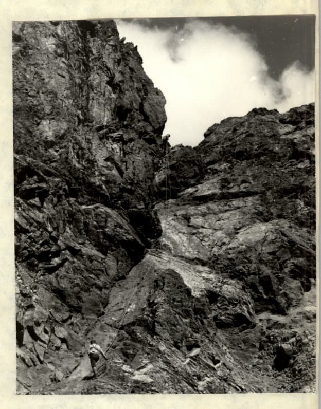 7_image_1.jpg