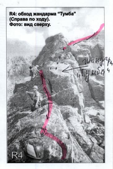 11_image_1.jpg