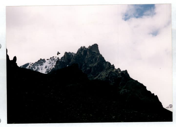 9_image_0.jpg
