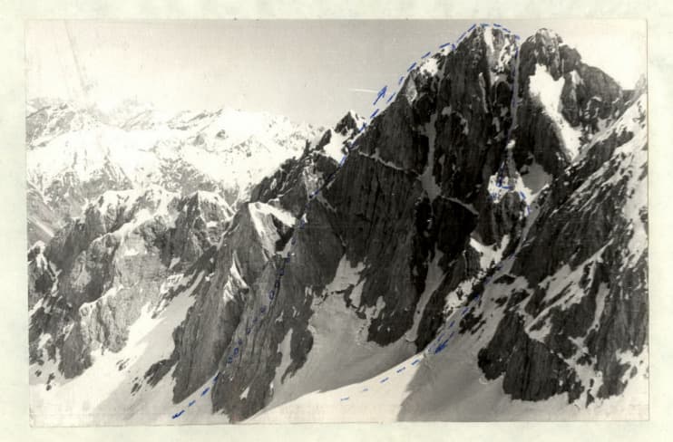 1_image_1.jpg