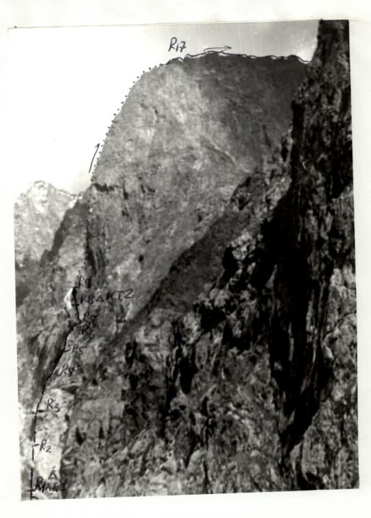 2_image_1.jpg
