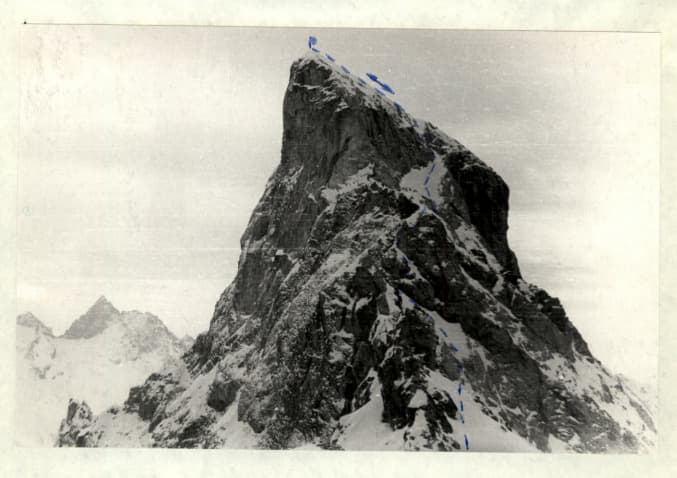 1_image_1.jpg