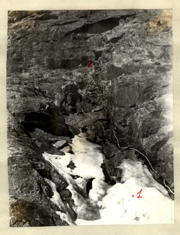 3_image_0.jpg