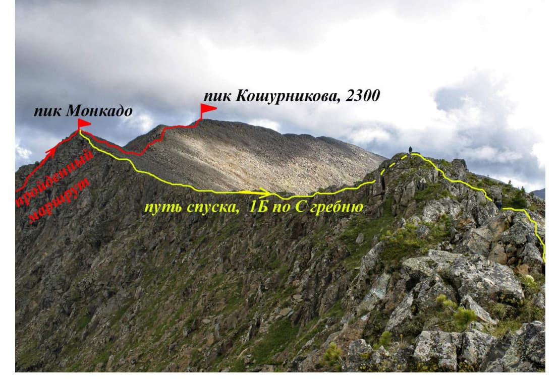 28_image_0.jpg