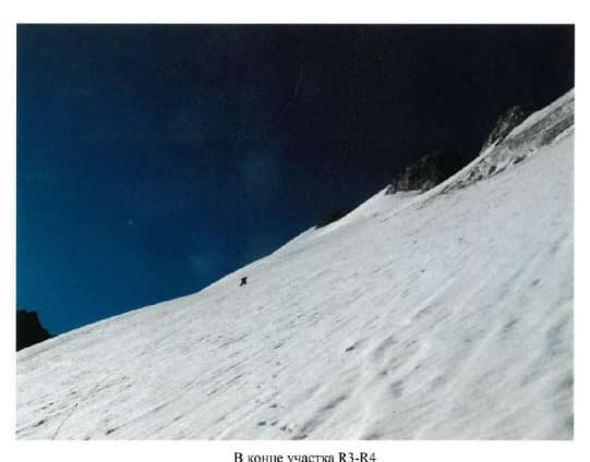 14_image_1.jpg